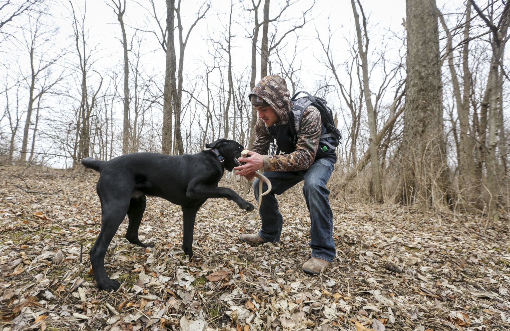 Shed hunting 1